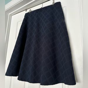 Navy Blue Aline Skirt with Eyelet Details